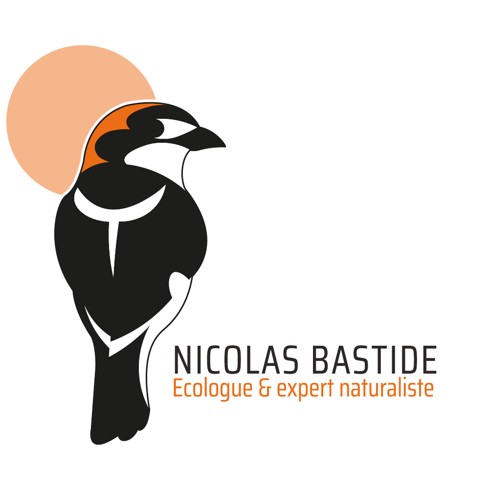 Nicolas Bastide Ecologue et expert naturaliste