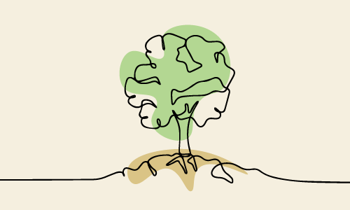 Lire la suite à propos de l’article MOOC Trame verte et bleue – Téla Botanica